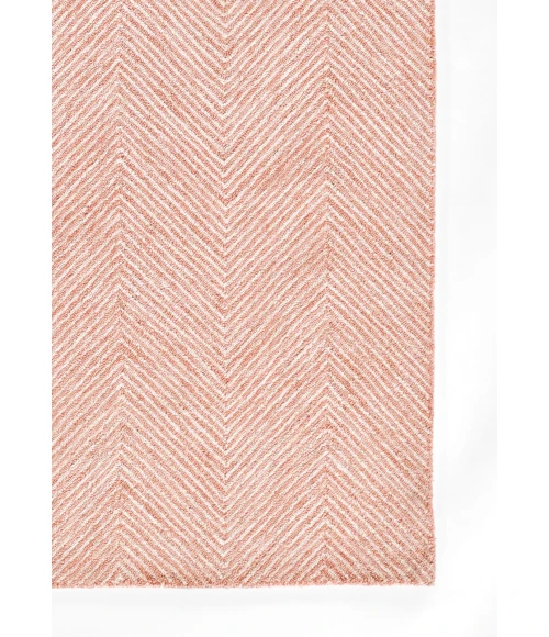 Momeni Charles Pink CHR-1 2 ft. X 3 ft. Rect. Rug