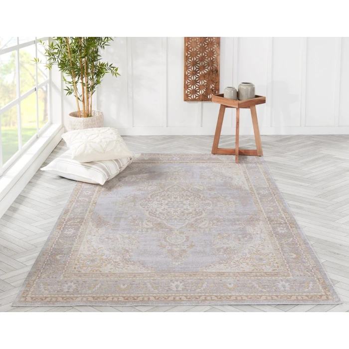 Momeni Isabella Area Rug ISA-1 Grey 2' X 3'