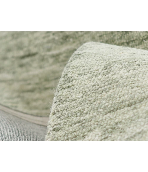 Momeni James JAM-1 Sage 2' X 3' Area Rug