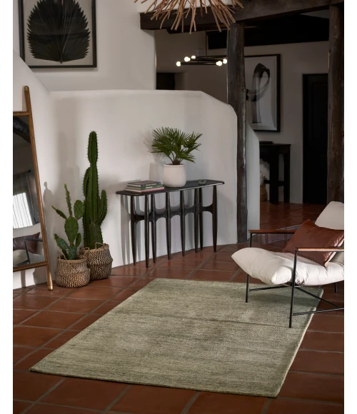 Momeni James JAM-1 Sage 2' X 3' Area Rug