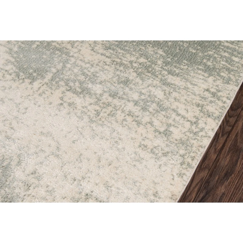 Momeni Lima LI-04 2' X 3' Rectangle Area Rug