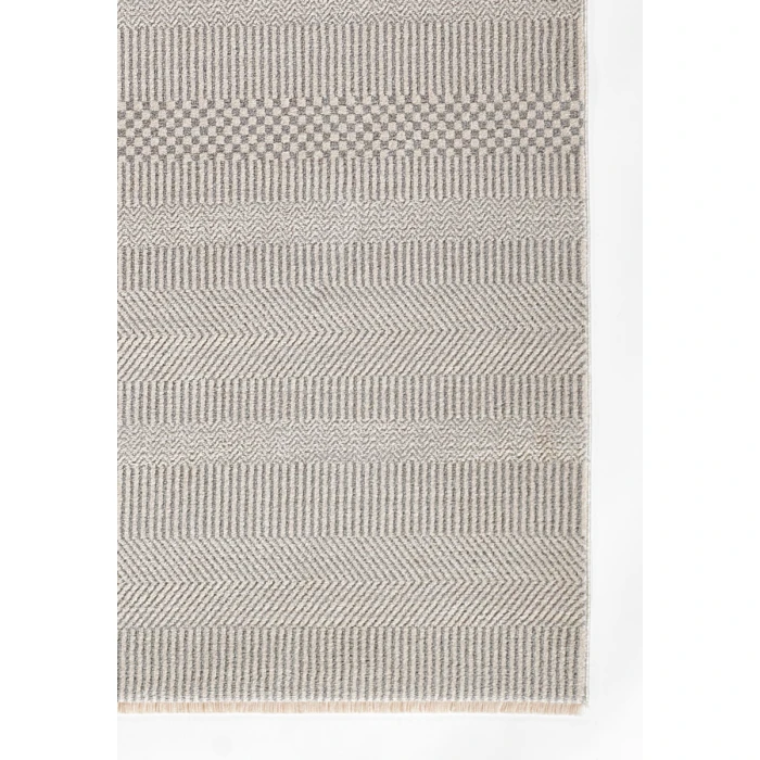 Momeni Samira Light Grey SAM-3 2 ft. X 4' Rectangle Rug