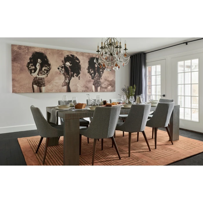 Momeni Simba Area Rug SIM-3 Copper 2' X 3'