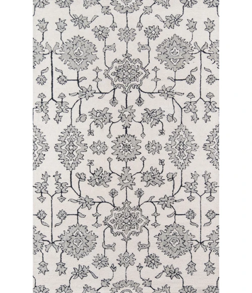 Momeni Valencia Area Rug VAL-4 Ivory 2' X 3'