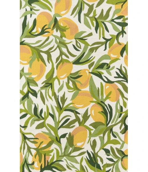 Momeni Veranda Area Rug VR-76 Green 2' X 3'