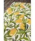 Momeni Veranda Area Rug VR-76 Green 2' X 3'