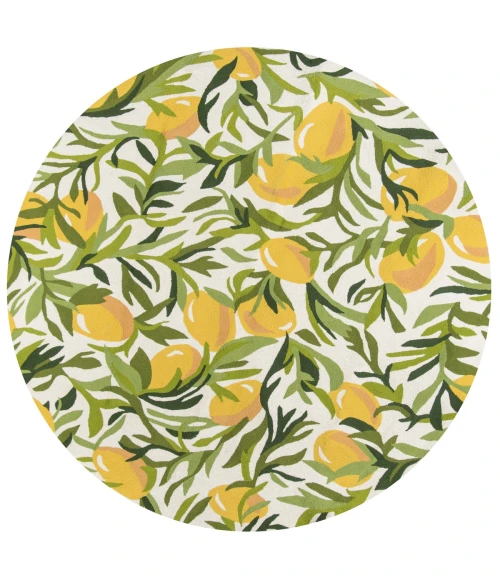 Momeni Veranda Area Rug VR-76 Green 2' X 3'