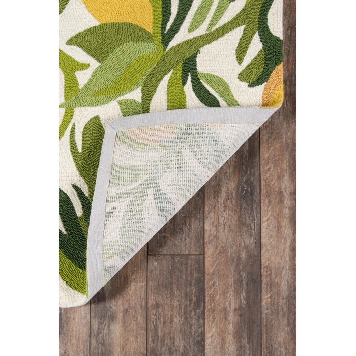 Momeni Veranda Area Rug VR-76 Green 3'9 X 5'9