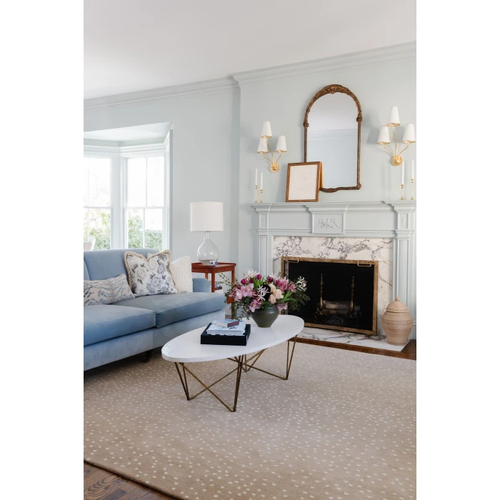 Momeni Woodland Area Rug WOD-1 Antelope Beige 2' X 3'