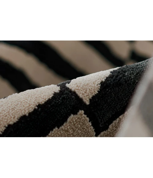 Momeni Xander Area Rug XAN-1 Black 5'3 X 7'6