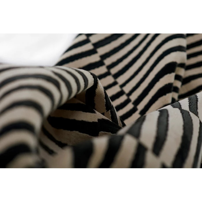 Momeni Xander Area Rug XAN-1 Black 2' X 3'