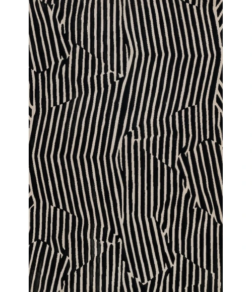 Momeni Xander Area Rug XAN-2 Black 3'11 X 5'7