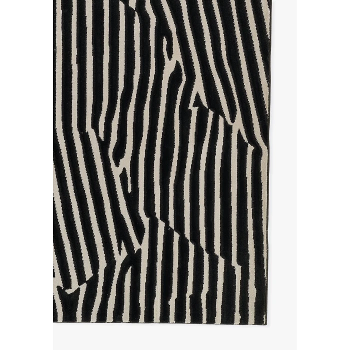 Momeni Xander Area Rug XAN-2 Black 5'3 X 7'6