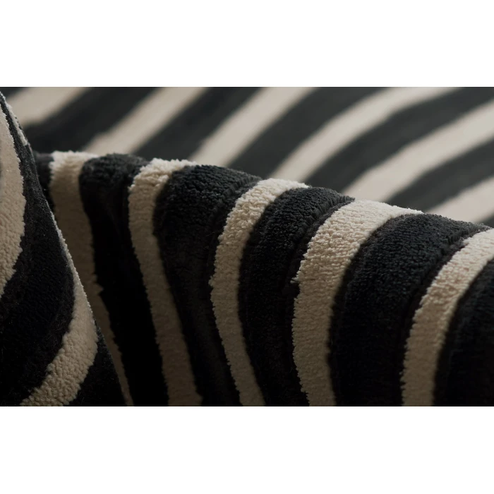 Momeni Xander Area Rug XAN-2 Black 5'3 X 7'6