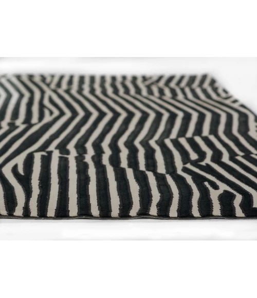 Momeni Xander Area Rug XAN-2 Black 3'11 X 5'7
