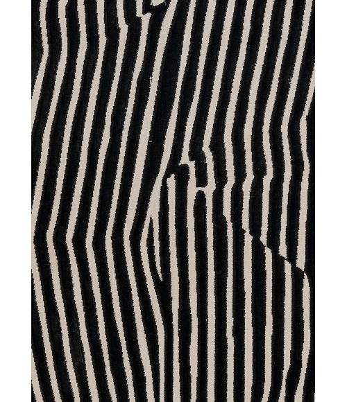 Momeni Xander Area Rug XAN-2 Black 3'11 X 5'7