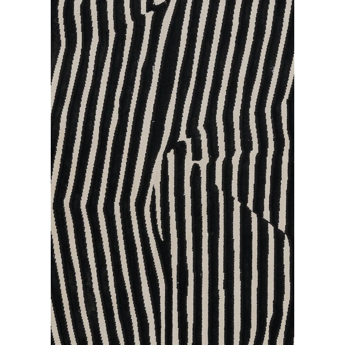 Momeni Xander Area Rug XAN-2 Black 5'3 X 7'6