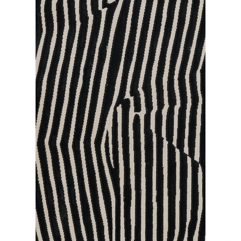 Momeni Xander Area Rug XAN-2 Black 3'11 X 5'7