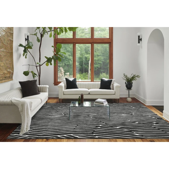 Momeni Xander Area Rug XAN-2 Black 5'3 X 7'6