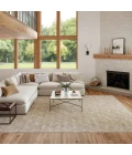 Nourison Home Washable Charm Beige WCH03 8ft. x 10ft. Rect. Rug