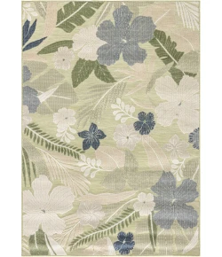 Nourison Home Suncoast Green SNC01 5ft.3in. x 7ft.3in. Rect. Rug
