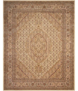 Nourison Home Nourison 2000 Beige 2240 8ft.6in. x 11ft.6in. Rect. Rug