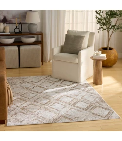 Nourison Home Dekor DEK05 Ivory Taupe 4 ft. X 6 ft. Area Rug