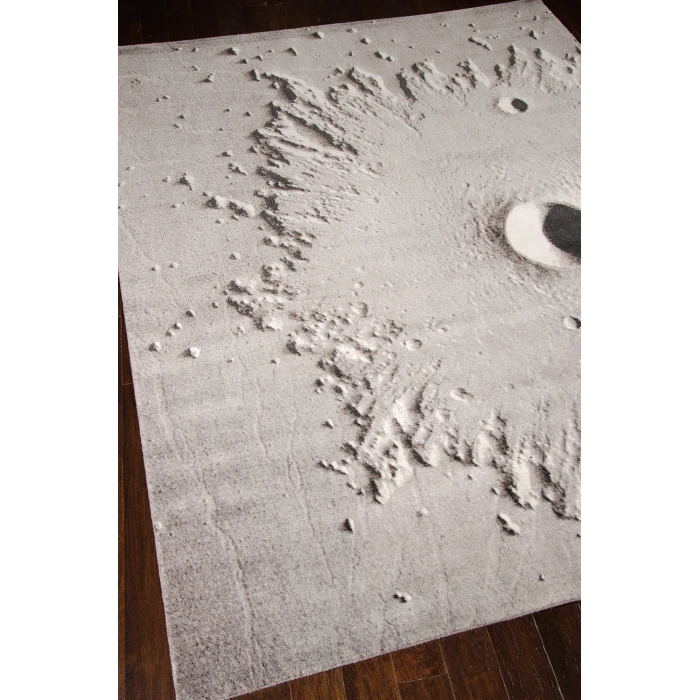Nourison Home Twilight Grey TWI16 7ft.9in. x 9ft.9in. Rect. Rug