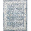 Nourison Home Astra Machine Washable ASW20 Blue 9 ft. X 12 ft. Area Rug