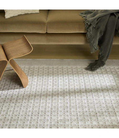 Nourison Nordic Beige NRC03 9ft. x 12ft. Rect. Rug