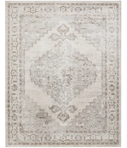 Nourison Home Astra Machine Washable ASW11 Grey 9 ft. X 12 ft. Area Rug