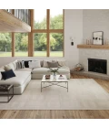 Nourison Home Nordic Cream / Ivory NRC11 6ft. x 9ft. Rect. Rug