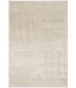 Nourison Home Nordic Tan NRC11 2ft. x 3ft. Rect. Rug