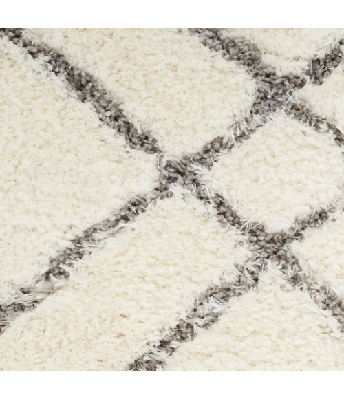 Nourison Home Dreamy Shag Cream / Ivory DRS07 5ft.3in. x 7ft.3in. Rect. Rug