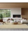 Nourison Strata Beige SSS01 5ft.3in. x 7ft.3in. Rect. Rug