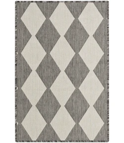 Nourison Positano Charcoal POS04 2ft. x 3ft. Rect. Rug