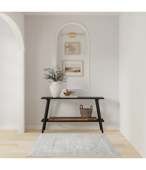 Nourison Astra Machine Washable Light Grey ASW11 3 ft. 3 in. X 5 ft. Rect. Rug