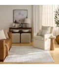 Nourison Dekor Beige DEK06 5 ft. 3 in. X 7 ft. Rect. Rug