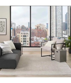 DKNY Grand Street GRN03 Ivory Beige 9 ft. X 12 ft. Area Rug