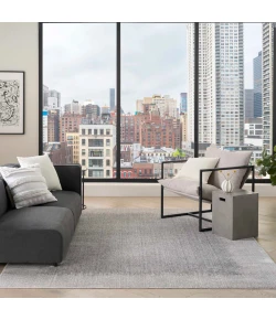 DKNY Grand Street GRN03 Light Grey 9 ft. X 12 ft. Area Rug