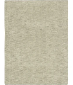Nourison Strata Grey SSS01 2ft. x 3ft. Rect. Rug