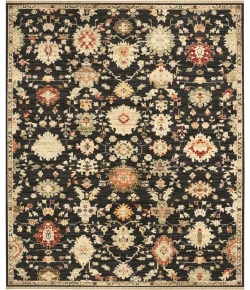 Nourison Antique Bloom Black ANB01 9ft. x 12ft. Rect. Rug