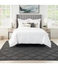 Nourison Easy Care Area Rug NES01 Charcoal/Black