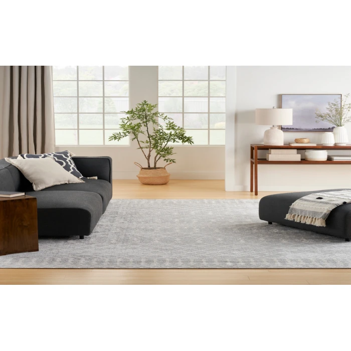 Nourison Astra Machine Washable Grey ASW10 10 ft. X 14 ft. Rectangle Rug