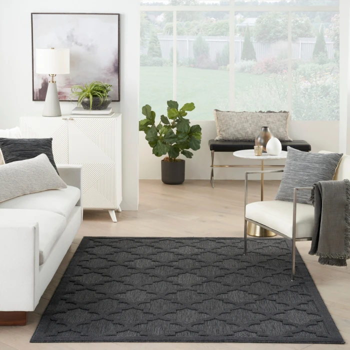 Nourison Easy Care Area Rug NES01 Charcoal/Black