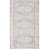Nourison Home Astra Machine Washable ASW11 Light Blue 2 ft. X 6 ft. Area Rug