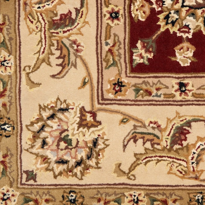 Nourison 2000 Area Rug 2022-Lacquer