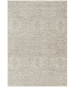 Nourison Home Shadows SHW06 Grey 3 ft. 11 in. X 5 ft. 11 in. Area Rug