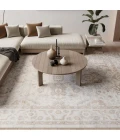 Nourison Astra Machine Washable Grey ASW20 7 ft. 10 in. x 10 ft. Rect. Rug