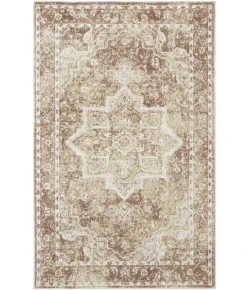 Nourison Home Astra Machine Washable Brown ASW12 2ft. x 3ft. Rect. Rug